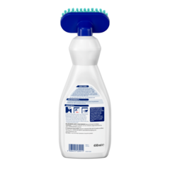 Carpet Stain Remover – White spray bottle with blue cap and turquoise brush head, 650ml capacity with product label.