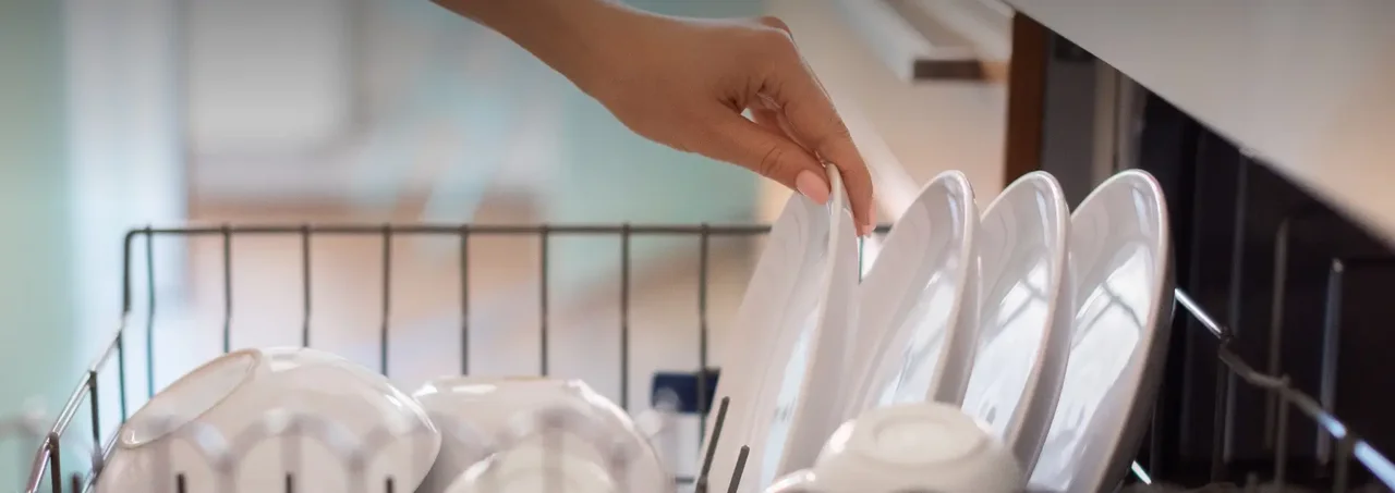 Tay người đang xếp những chiếc đĩa trắng sạch vào giá trong máy rửa chén.