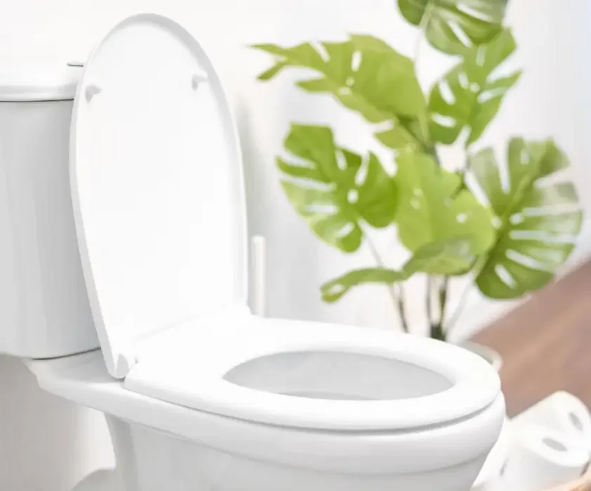 Limpiador de inodoros