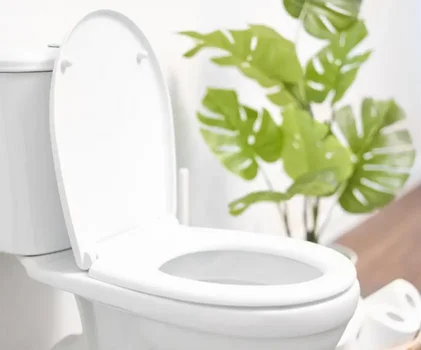 Limpiador de inodoros