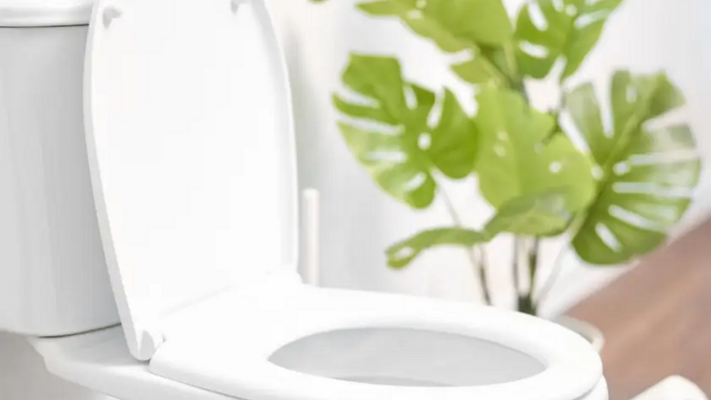 Limpiador de inodoros