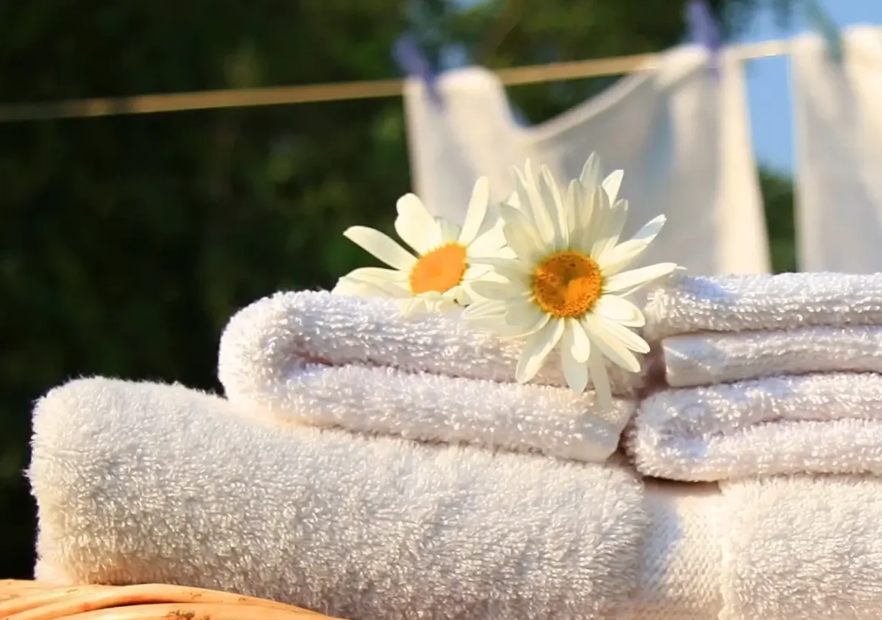 Audinių minkštiklis