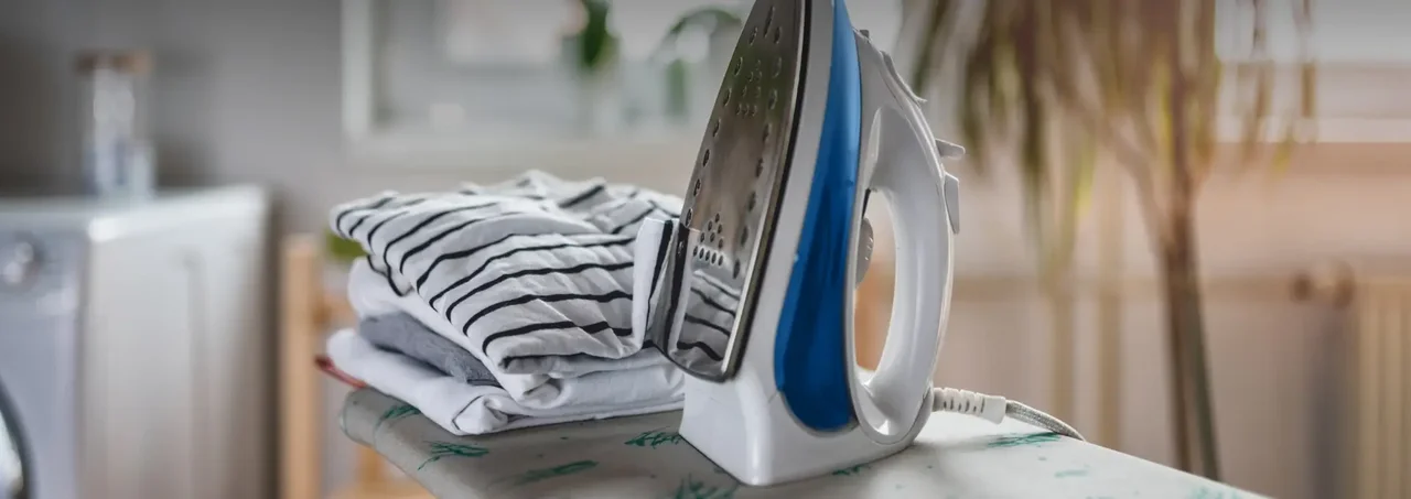 Otros productos especializados para el cuidado de la ropa