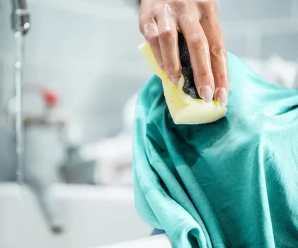 ガルソープ (胆汁石鹸)