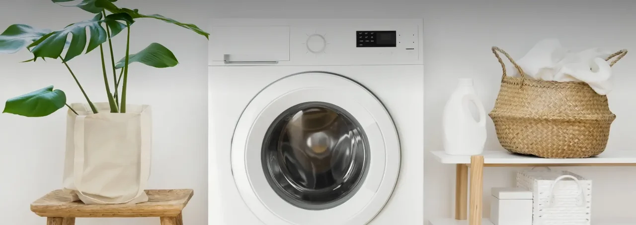 Washing machine cleaner