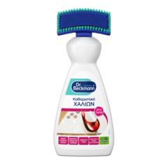 Καθαριστικό χαλιών-small